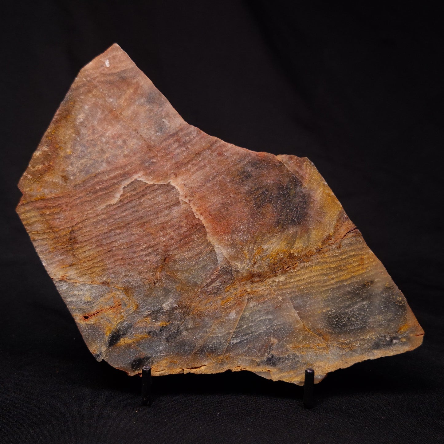 STROMATOLITE, Archean, Australia ZSL022