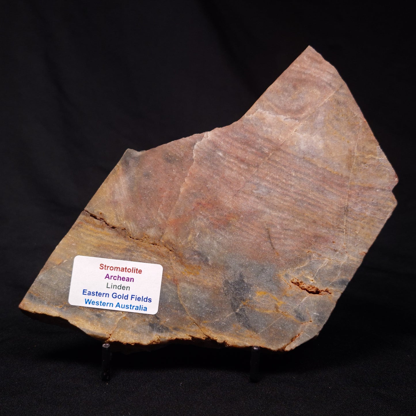 STROMATOLITE, Archean, Australia ZSL022