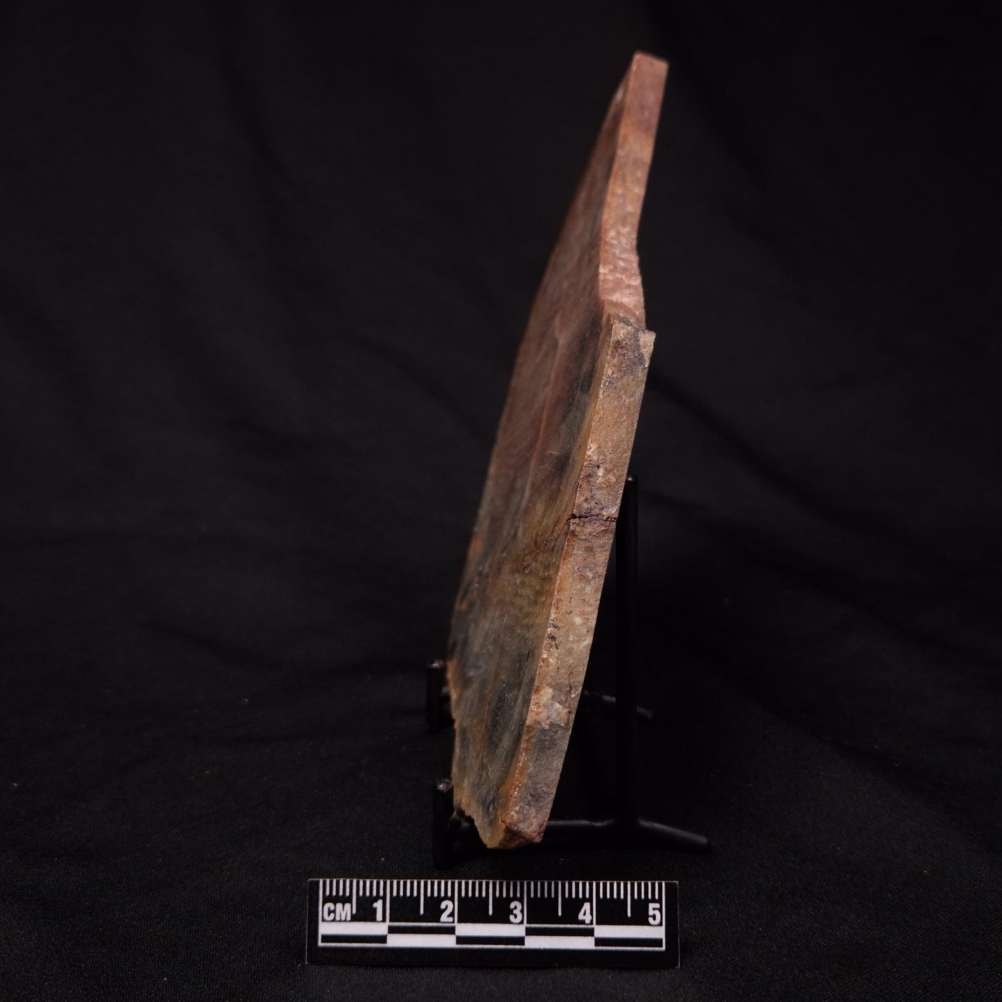 STROMATOLITE, Archean, Australia ZSL022
