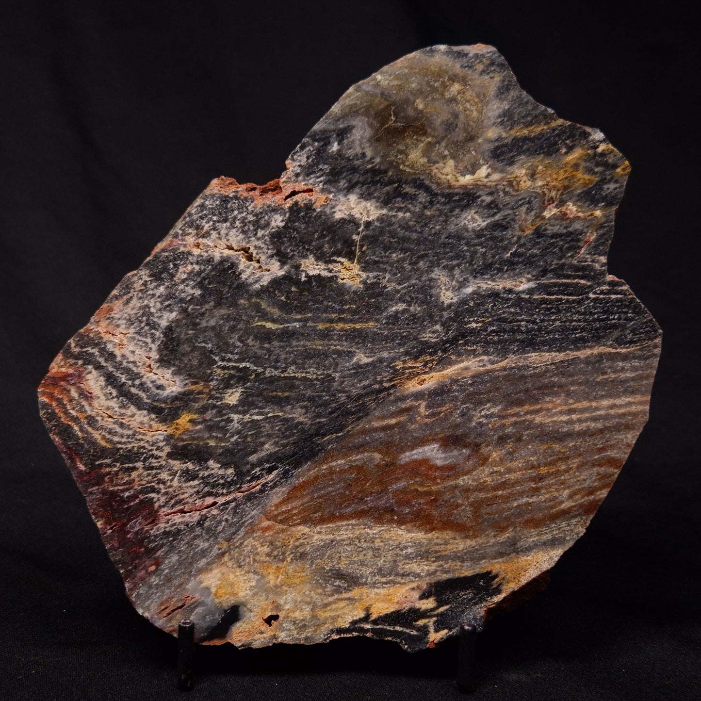 STROMATOLITE, Archean, Australia ZSL023