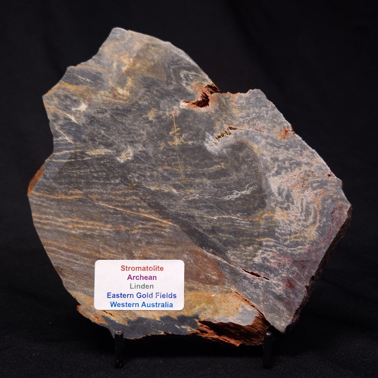 STROMATOLITE, Archean, Australia ZSL023