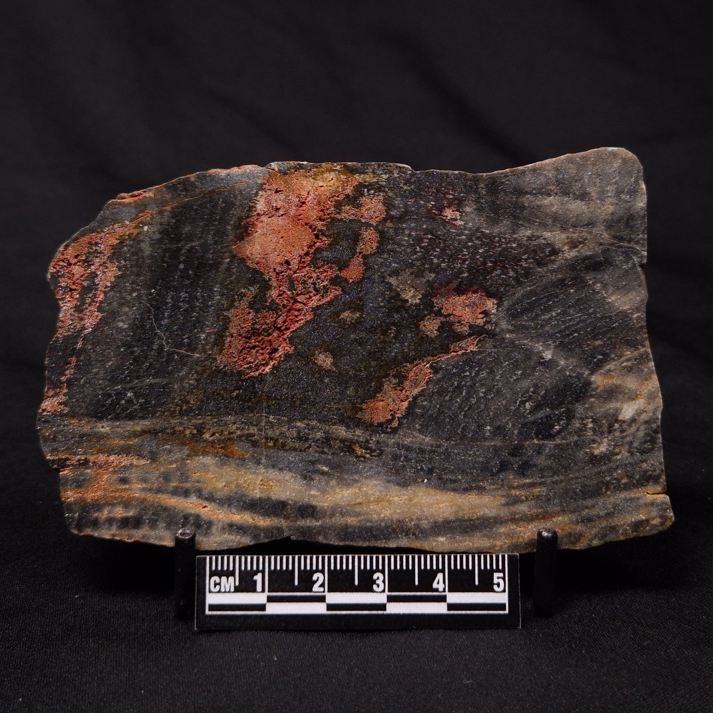 STROMATOLITE, Archean, Australia ZSL024