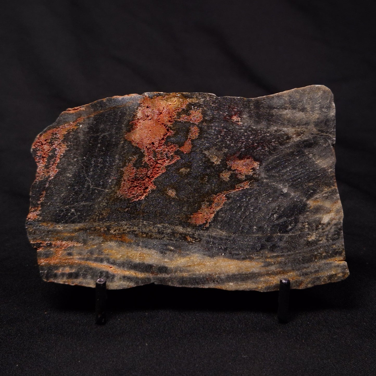 STROMATOLITE, Archean, Australia ZSL024