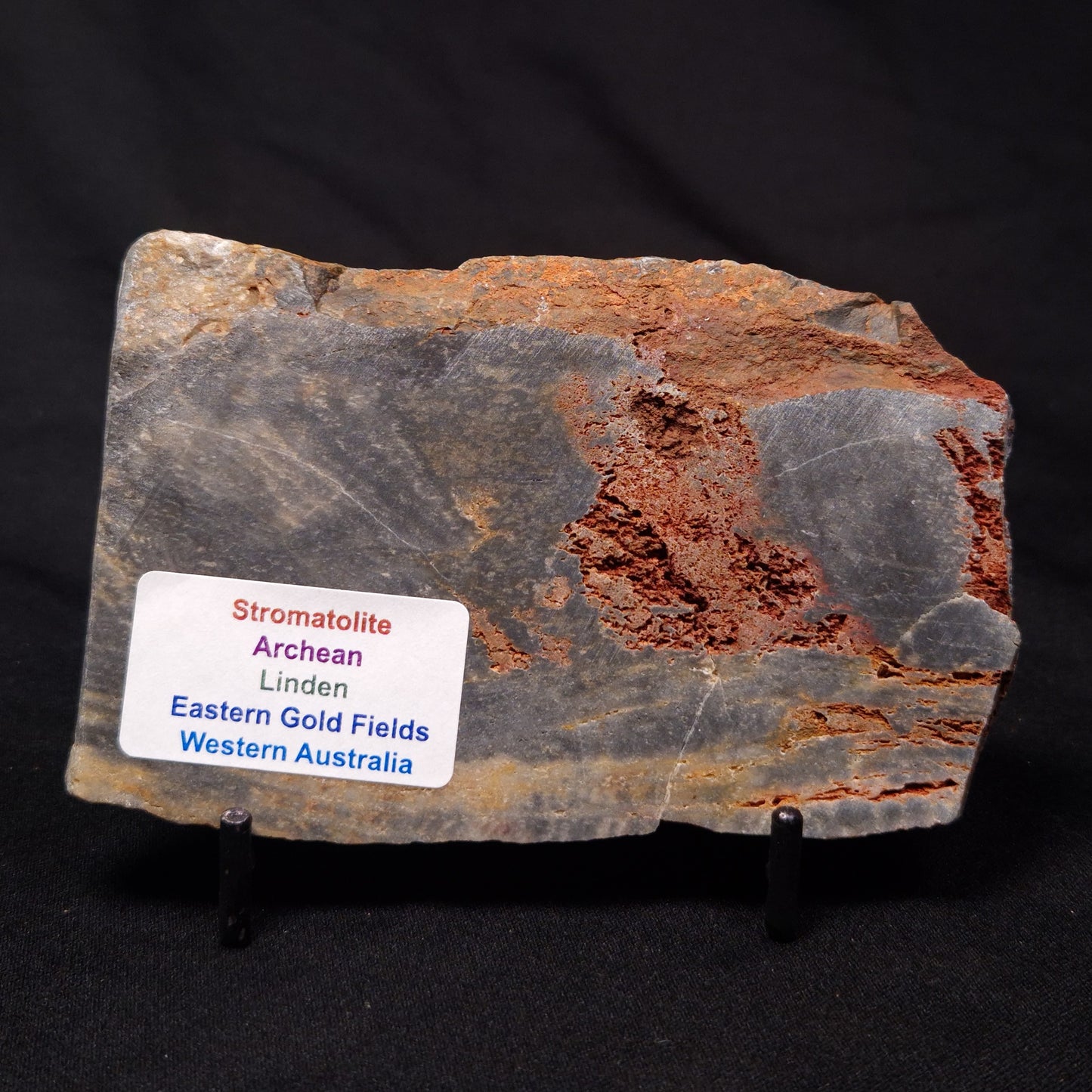 STROMATOLITE, Archean, Australia ZSL024