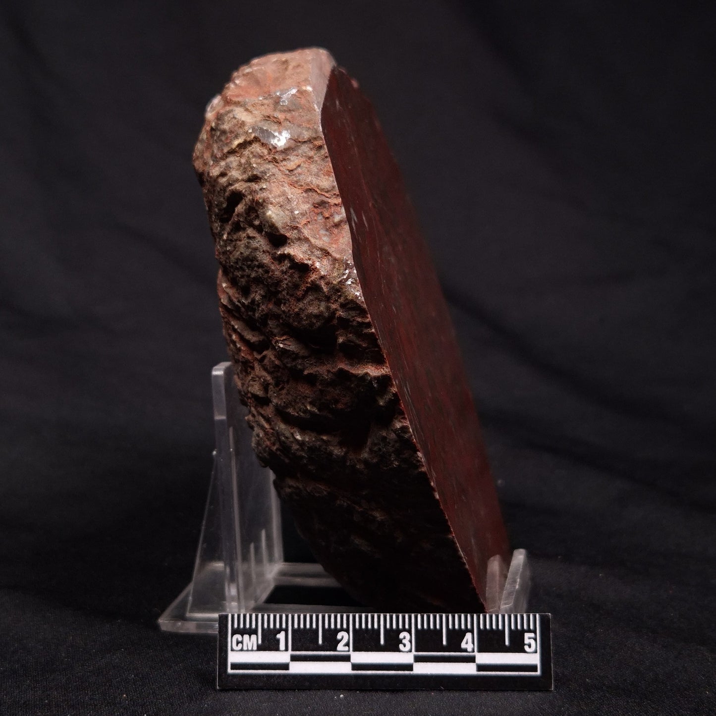 INZERIA INTIA STROMATOLITE, Proterozoic, Australia ZII001