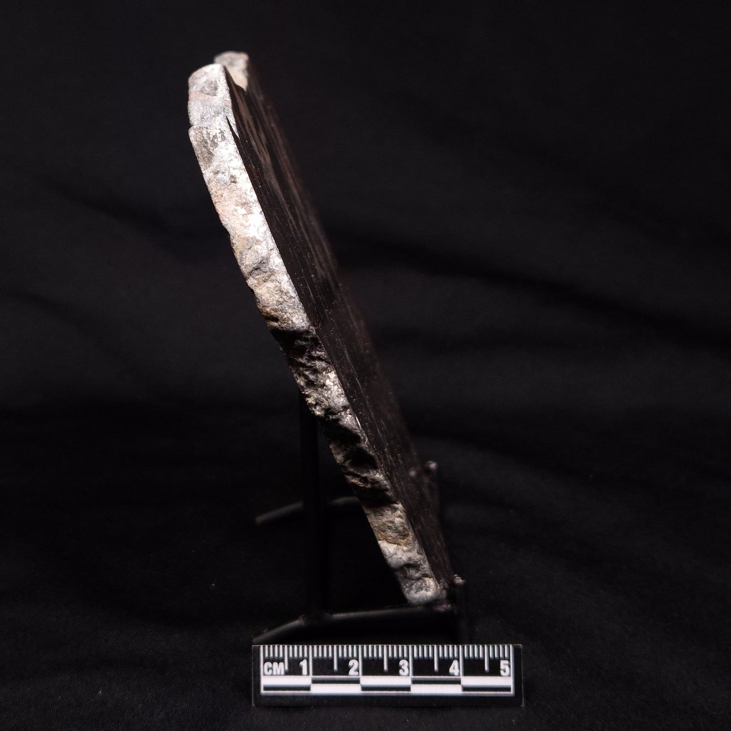 LINELLA AVIS STROMATOLITE, Proterozoic, Australia ZLA027