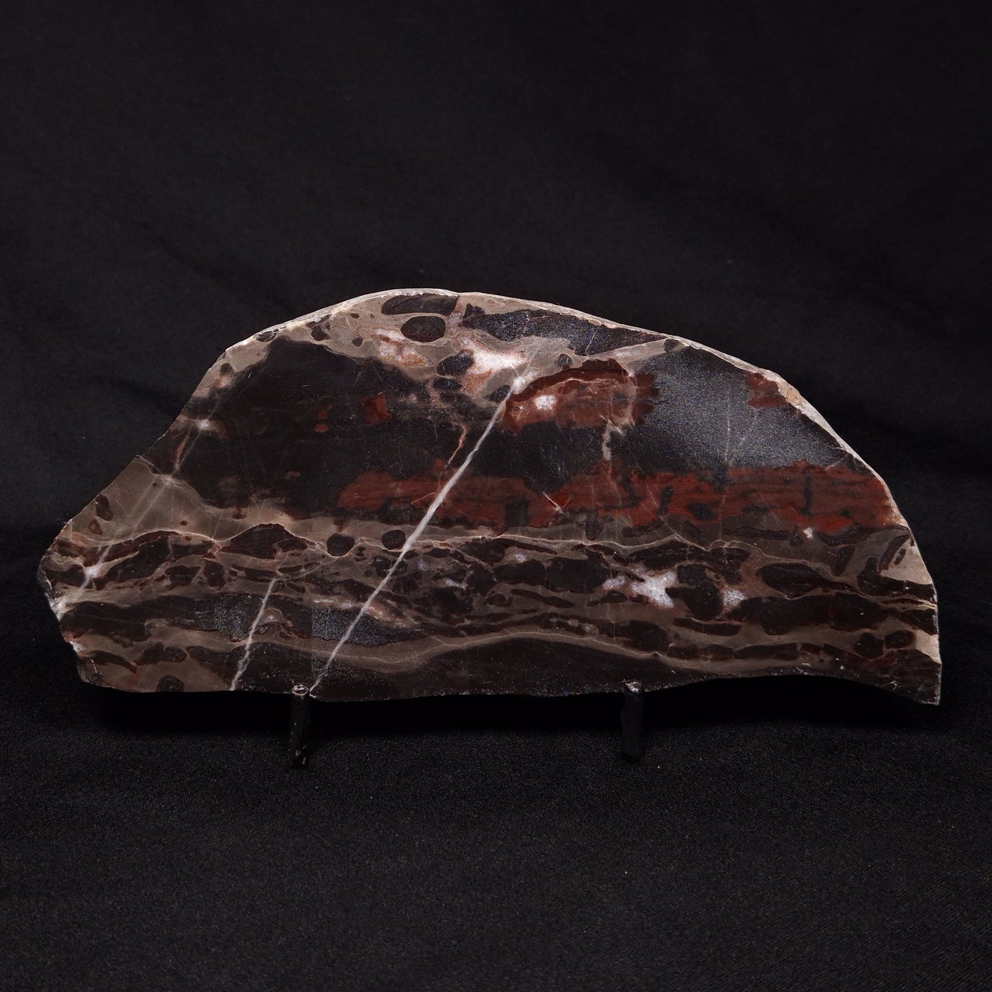 LINELLA AVIS STROMATOLITE, Proterozoic, Australia ZLA031