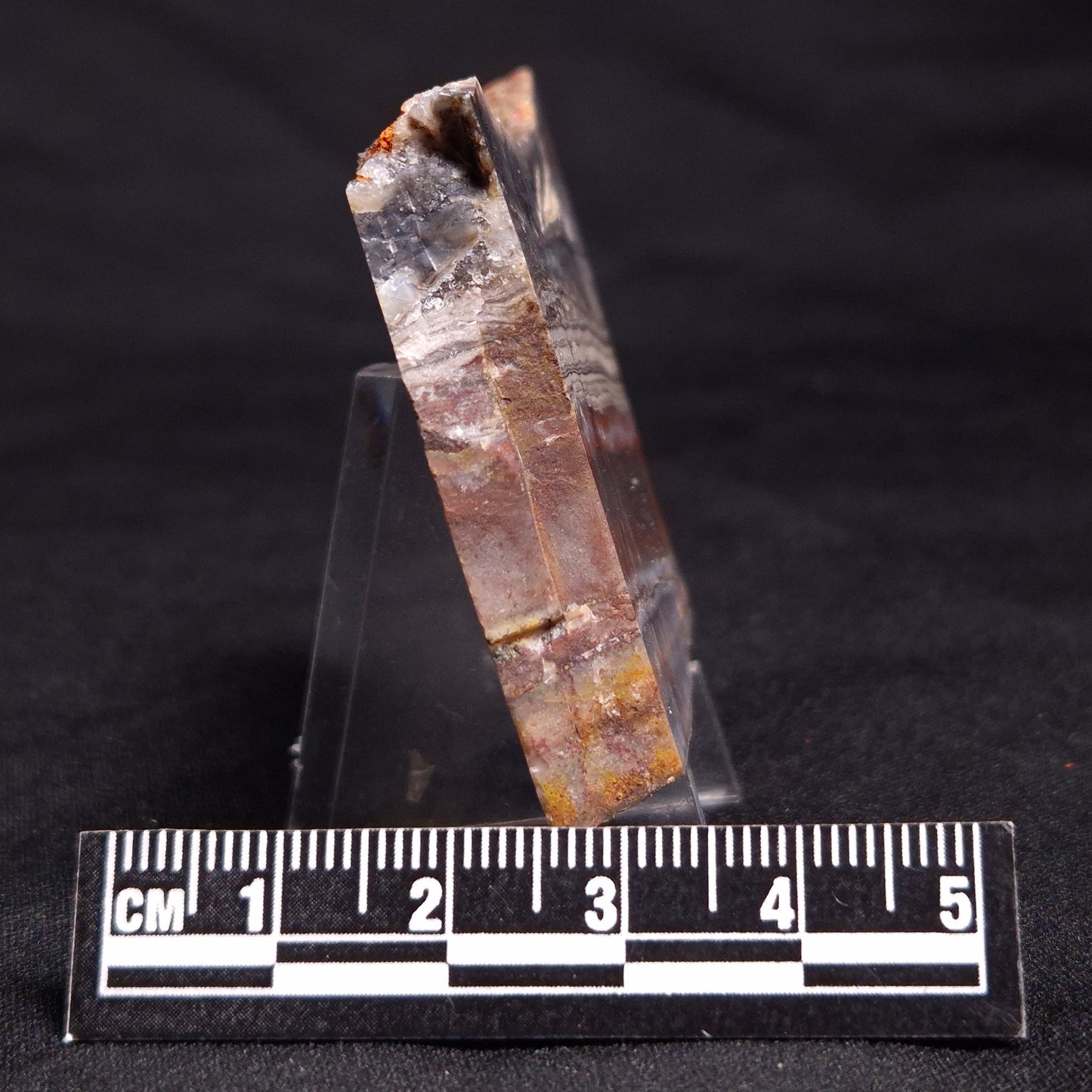 STROMATOLITE, Jerrinah Formation, Proterozoic, Australia ZJF036
