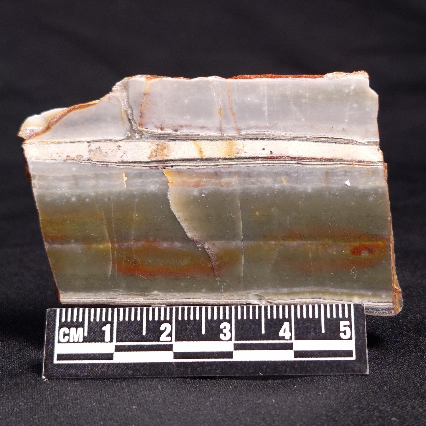STROMATOLITE, Jerrinah Formation, Proterozoic, Australia ZJF037