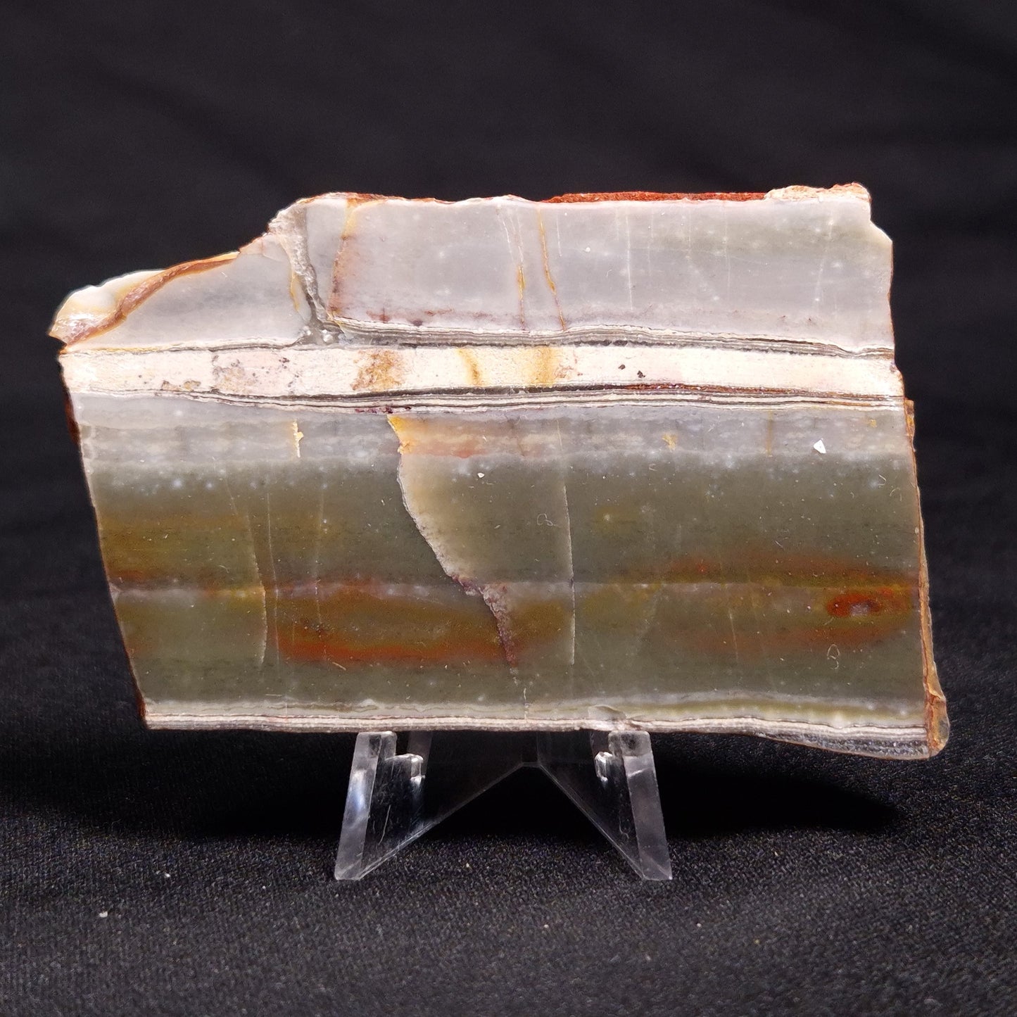 STROMATOLITE, Jerrinah Formation, Proterozoic, Australia ZJF037
