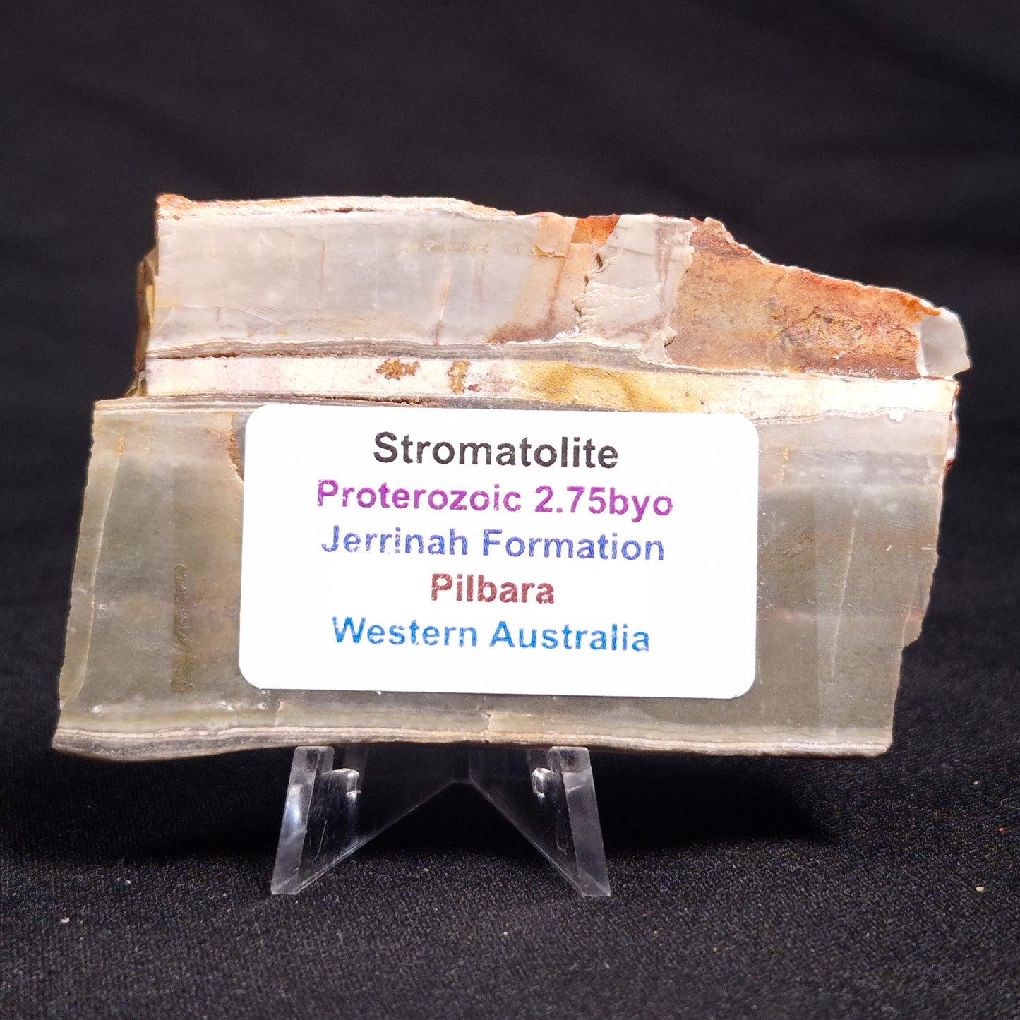 STROMATOLITE, Jerrinah Formation, Proterozoic, Australia ZJF037