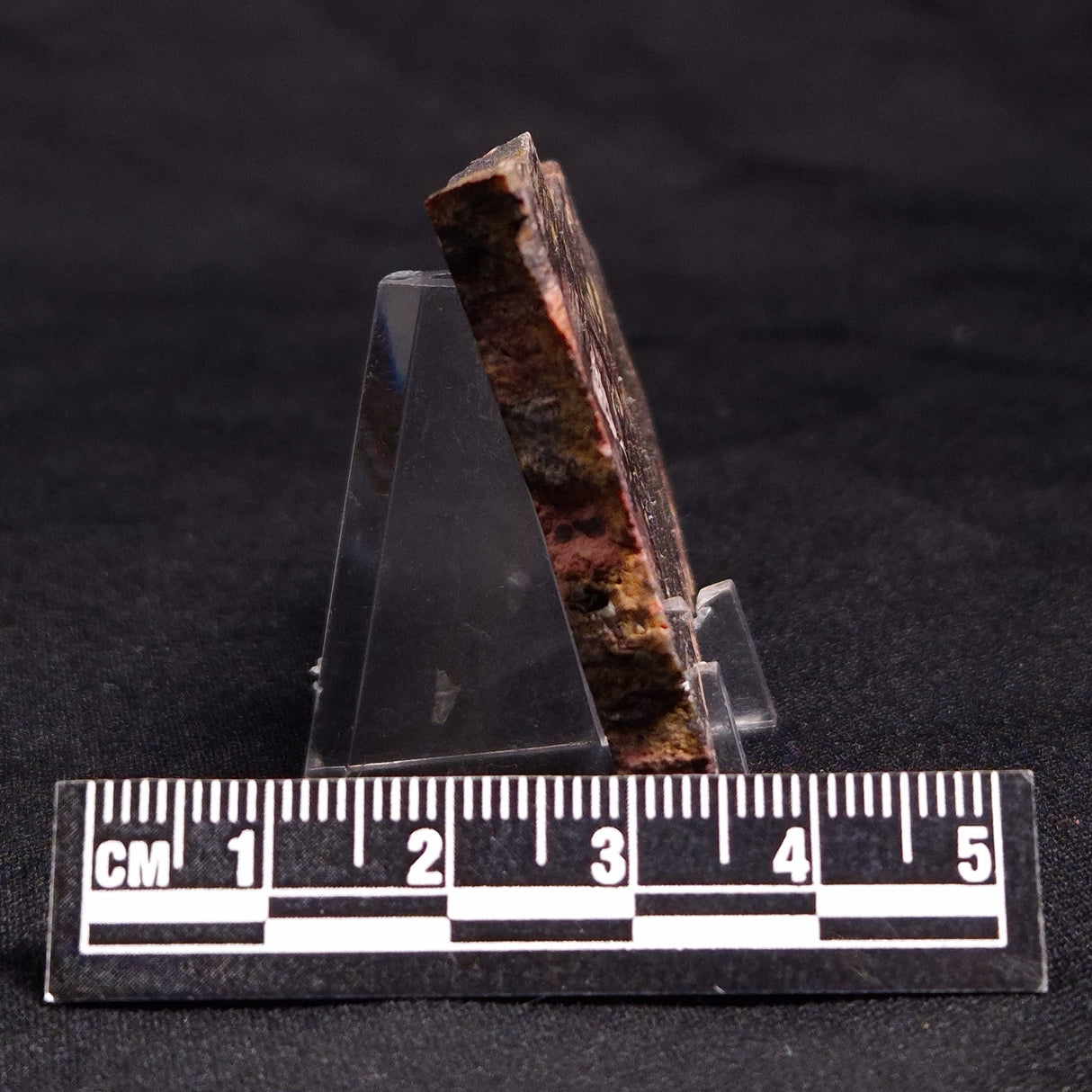STROMATOLITE, Jerrinah Formation, Proterozoic, Australia ZJF040
