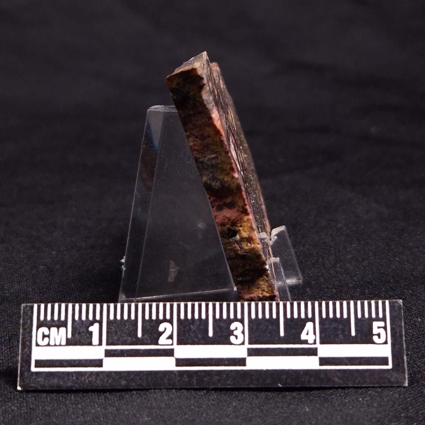 STROMATOLITE, Jerrinah Formation, Proterozoic, Australia ZJF040