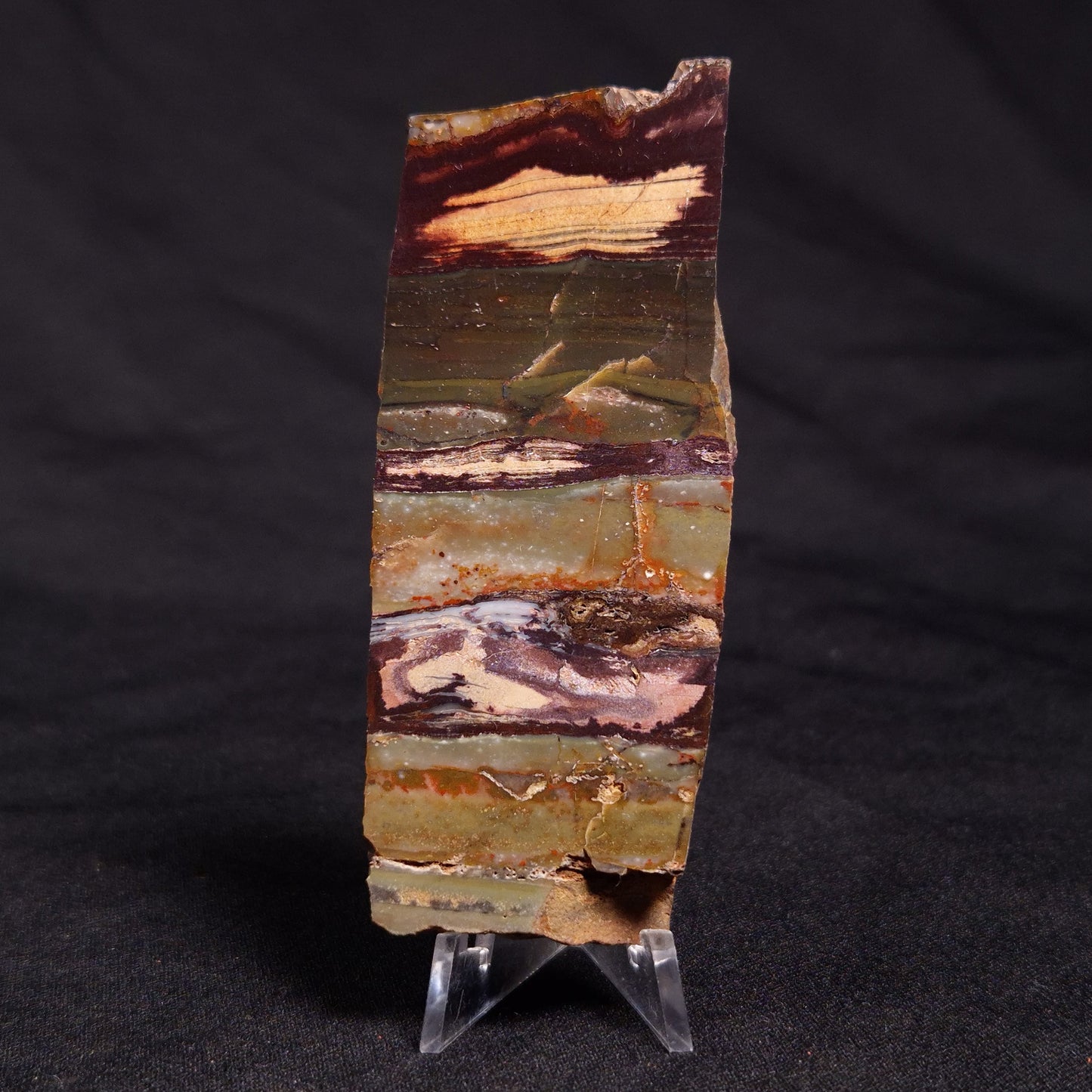 STROMATOLITE, Jerrinah Formation, Proterozoic, Australia ZJF043