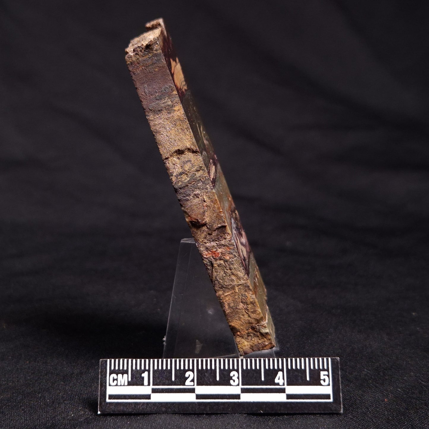 STROMATOLITE, Jerrinah Formation, Proterozoic, Australia ZJF043