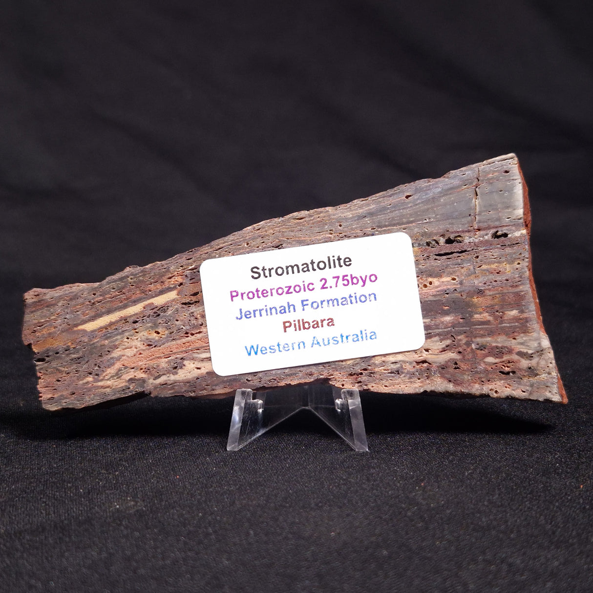 STROMATOLITE, Jerrinah Formation, Proterozoic, Australia ZJF044