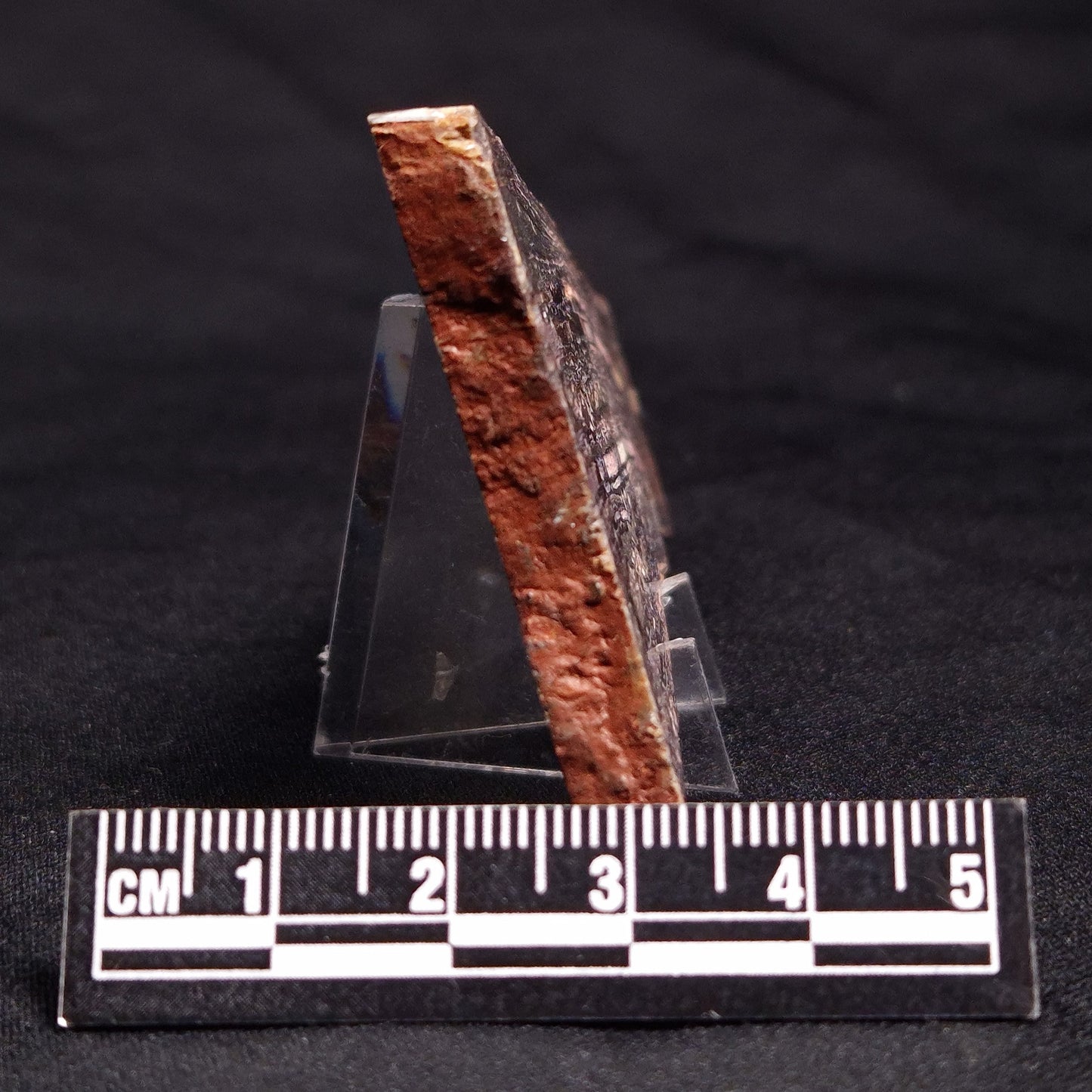 STROMATOLITE, Jerrinah Formation, Proterozoic, Australia ZJF044