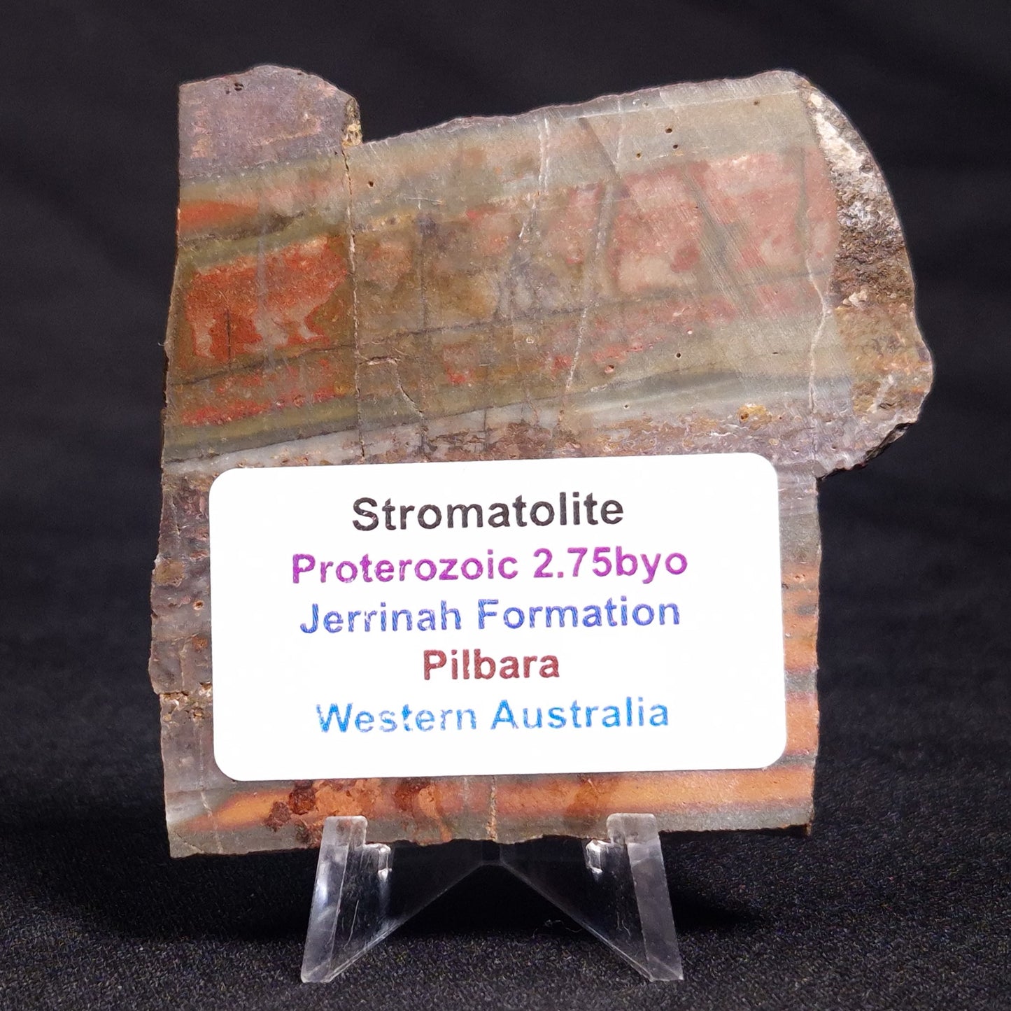 STROMATOLITE, Jerrinah Formation, Proterozoic, Australia ZJF045