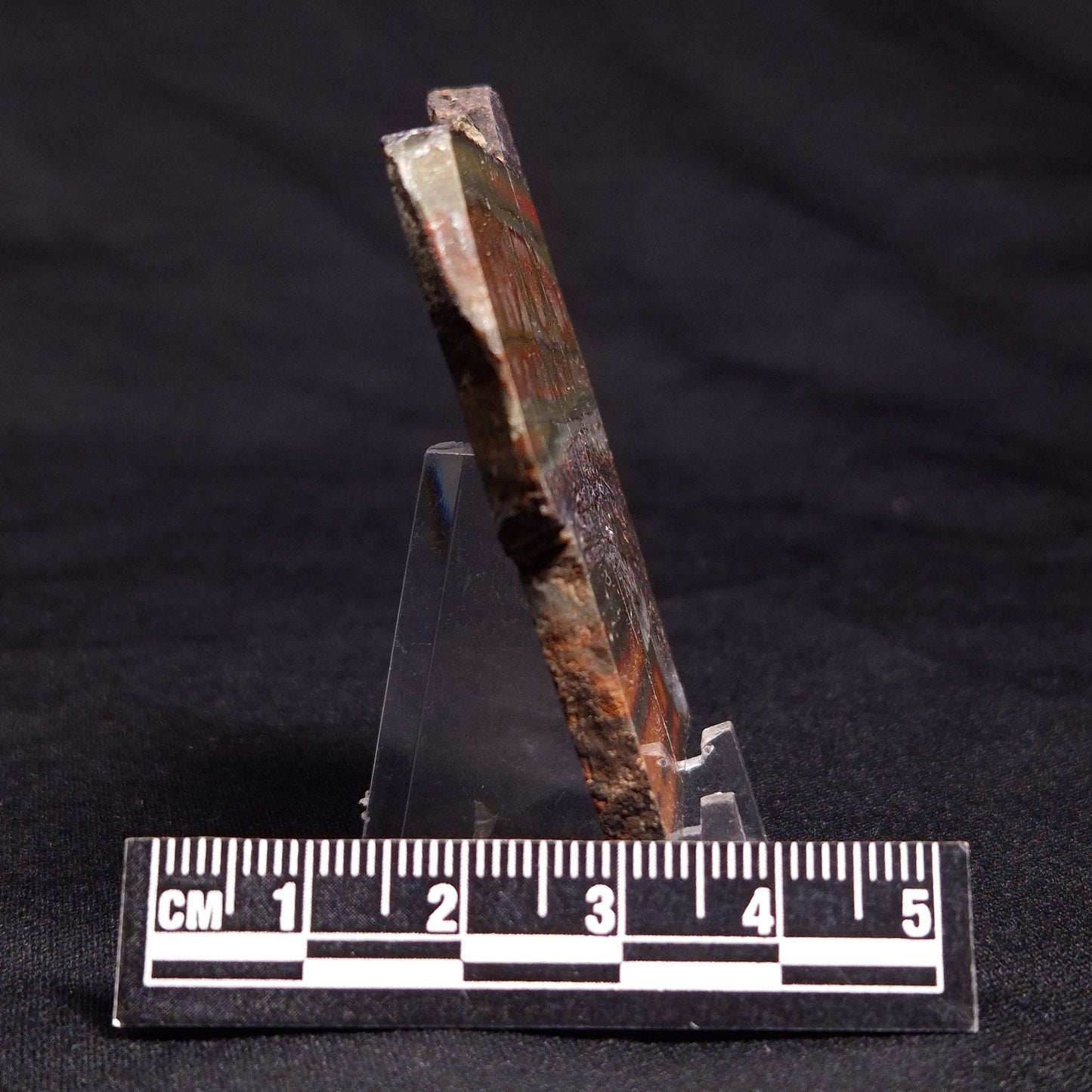 STROMATOLITE, Jerrinah Formation, Proterozoic, Australia ZJF045