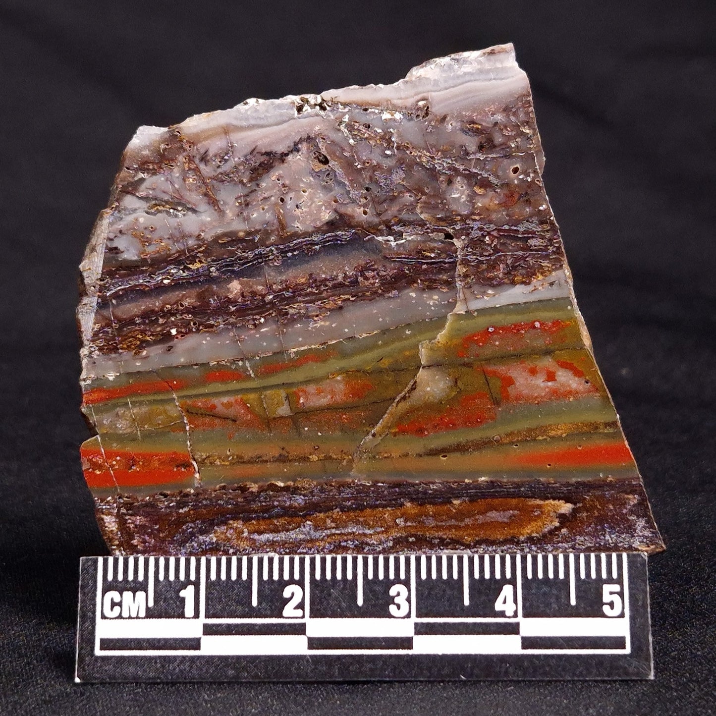 STROMATOLITE, Jerrinah Formation, Proterozoic, Australia ZJF048