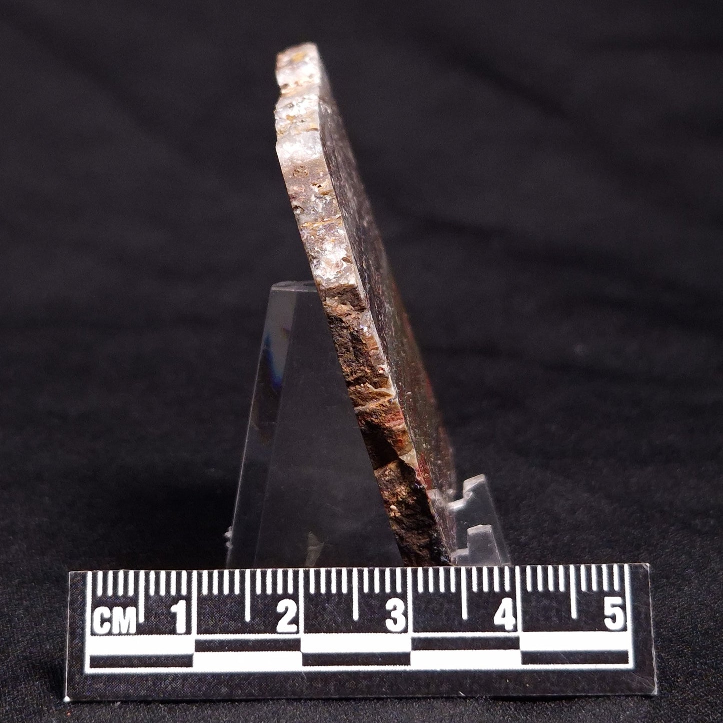 STROMATOLITE, Jerrinah Formation, Proterozoic, Australia ZJF048