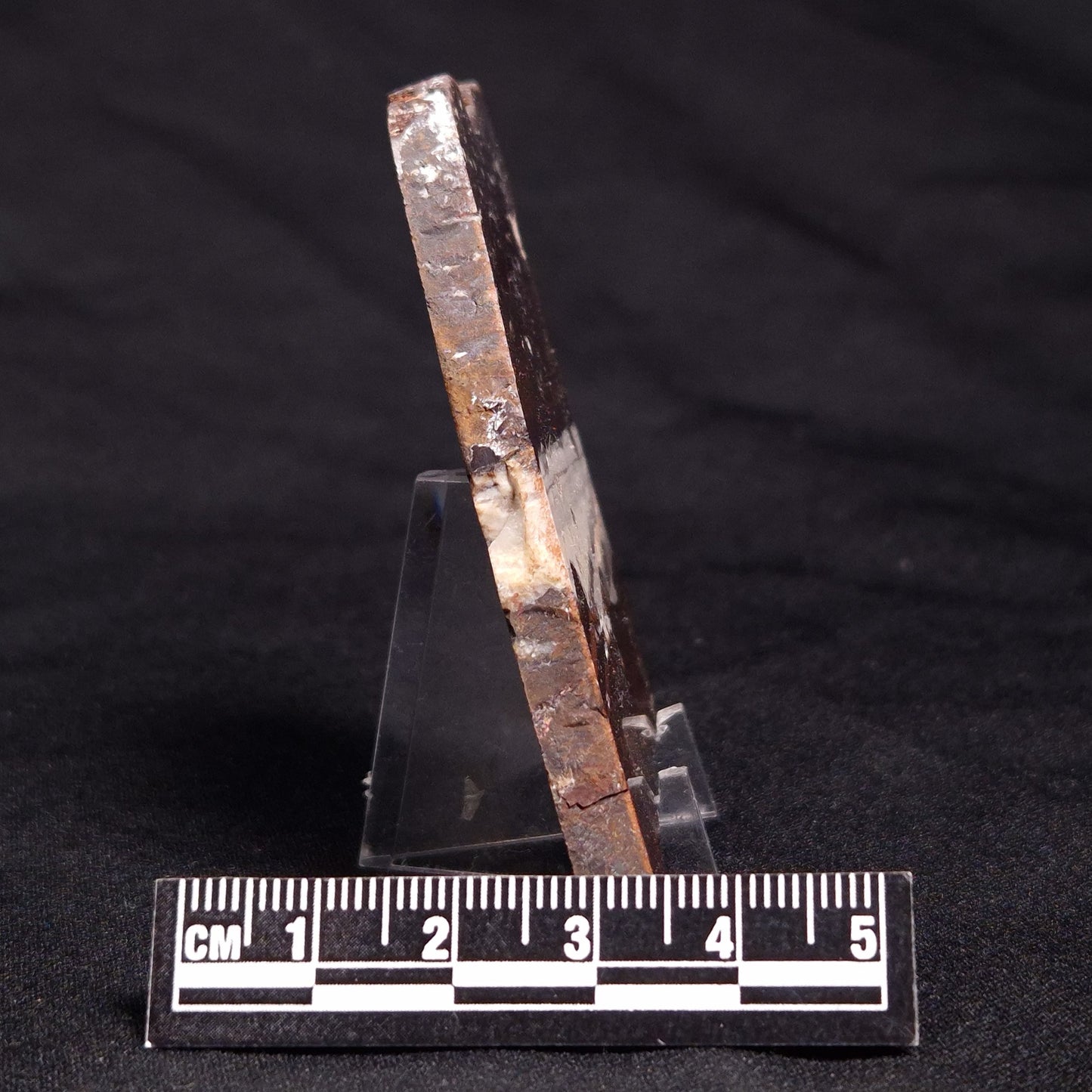 STROMATOLITE, Jerrinah Formation, Proterozoic, Australia ZJF049