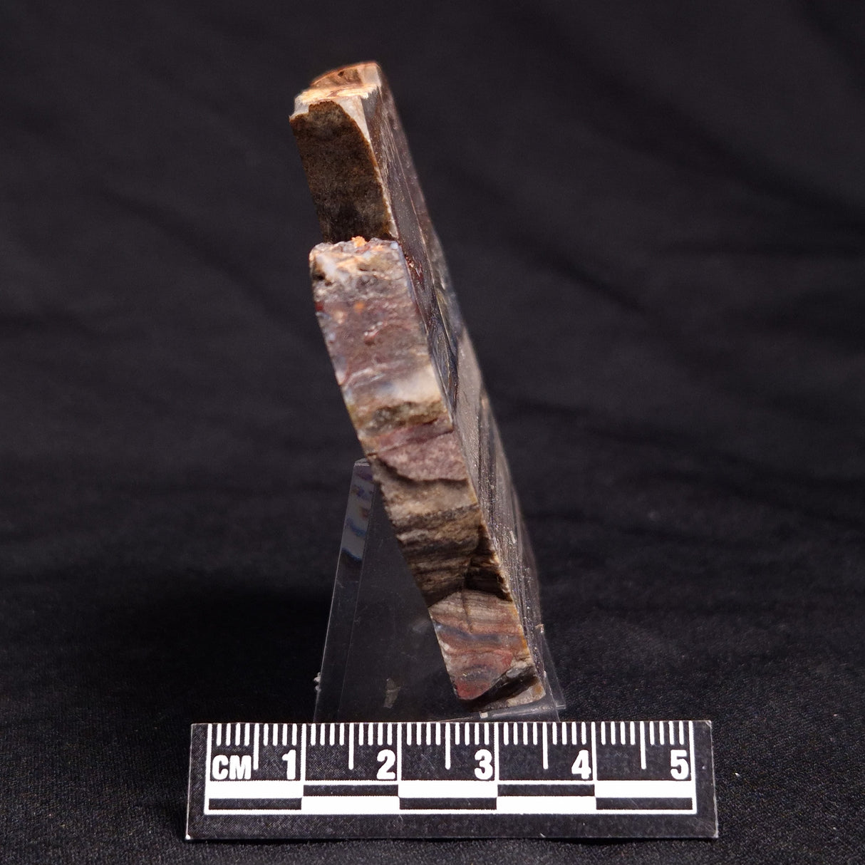 STROMATOLITE, Jerrinah Formation, Proterozoic, Australia ZJF054