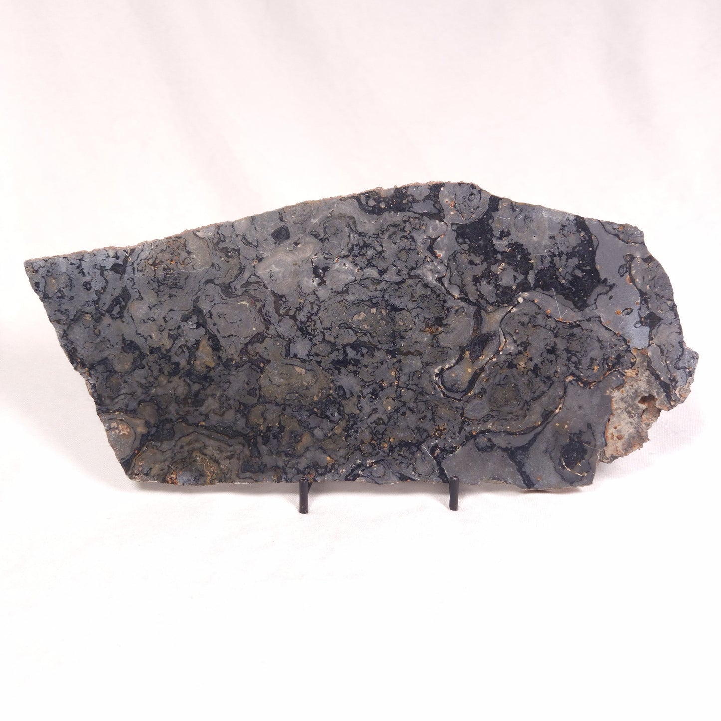 ALCHERINGA NARRINA STROMATOLITE, Late Archean, Australia ZAN011