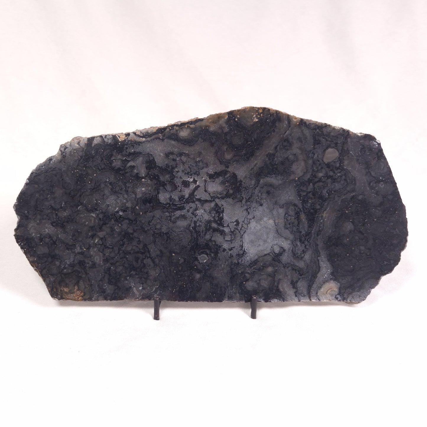 ALCHERINGA NARRINA STROMATOLITE, Late Archean, Australia ZAN013