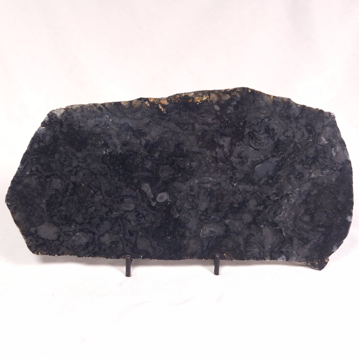 ALCHERINGA NARRINA STROMATOLITE, Late Archean, Australia ZAN016