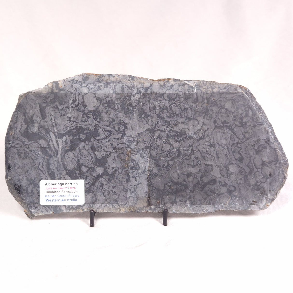 ALCHERINGA NARRINA STROMATOLITE, Late Archean, Australia ZAN016
