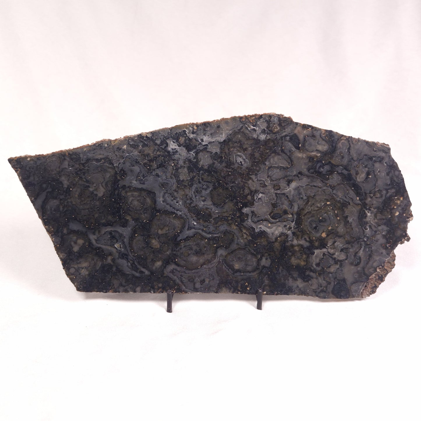 ALCHERINGA NARRINA STROMATOLITE, Late Archean, Australia ZAN017