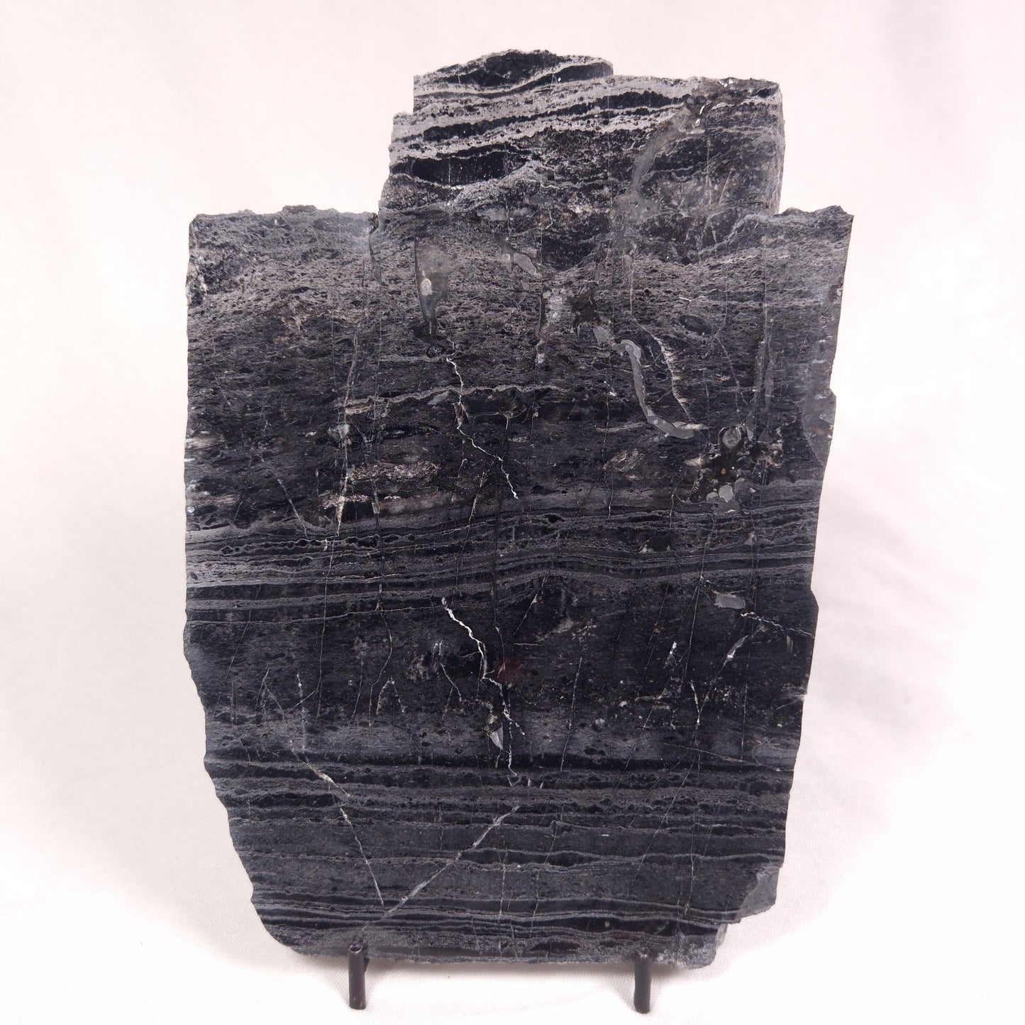 ALCHERINGA NARRINA STROMATOLITE, Late Archean, Australia ZAN018