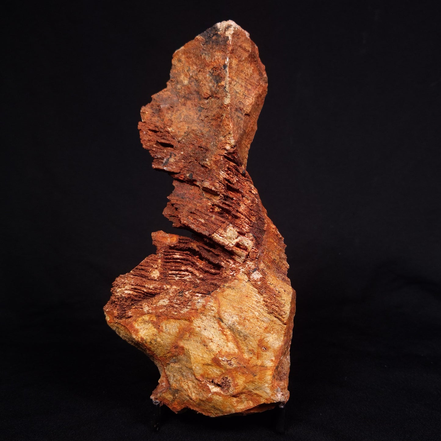 STROMATOLITE MICROBIAL MAT, Strelley Pool Formation, Archean, Australia ZSP024