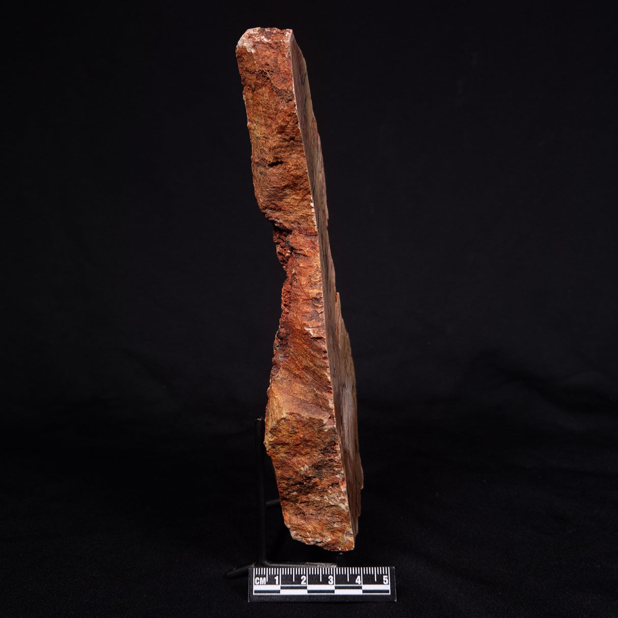 STROMATOLITE MICROBIAL MAT, Strelley Pool Formation, Archean, Australia ZSP024