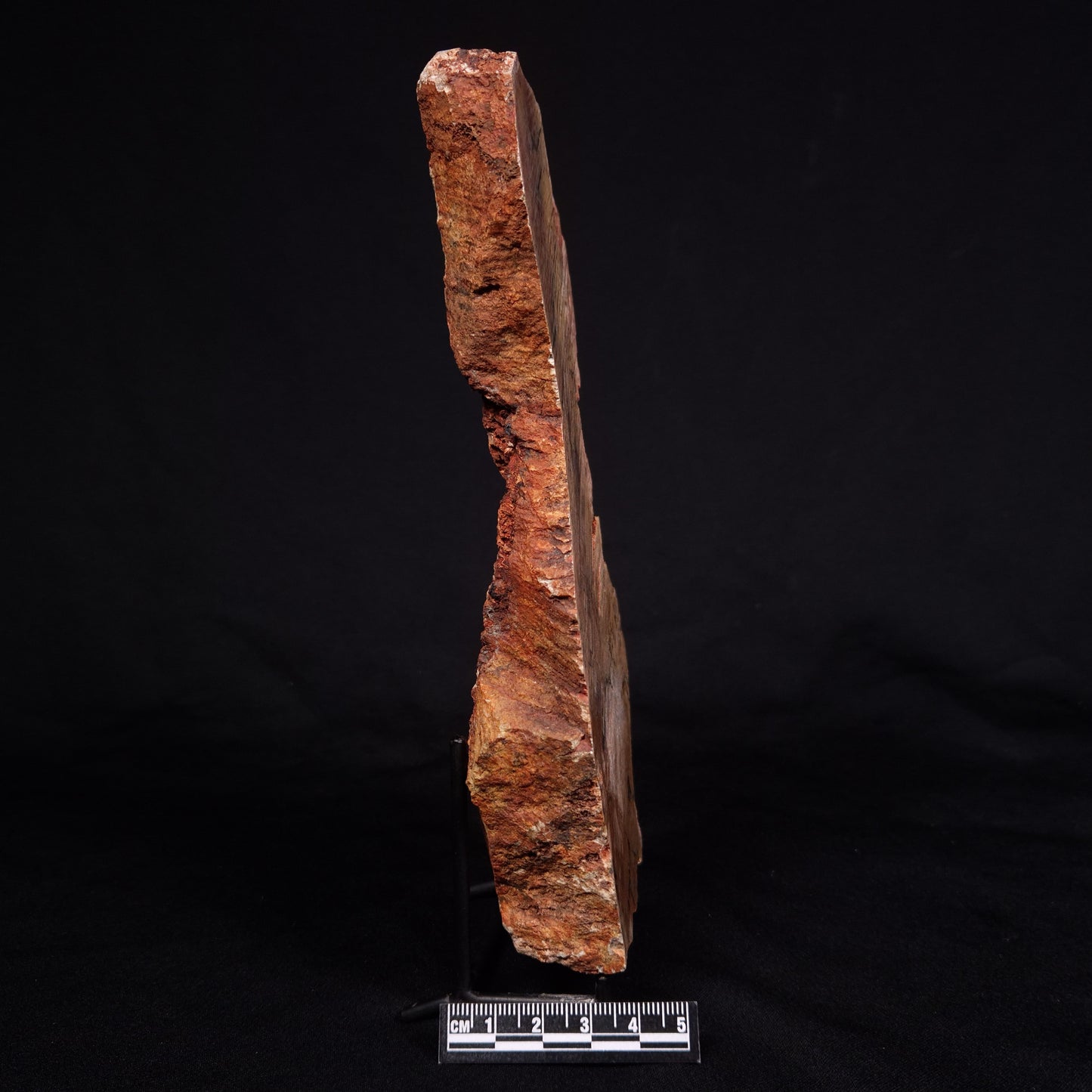 STROMATOLITE MICROBIAL MAT, Strelley Pool Formation, Archean, Australia ZSP024