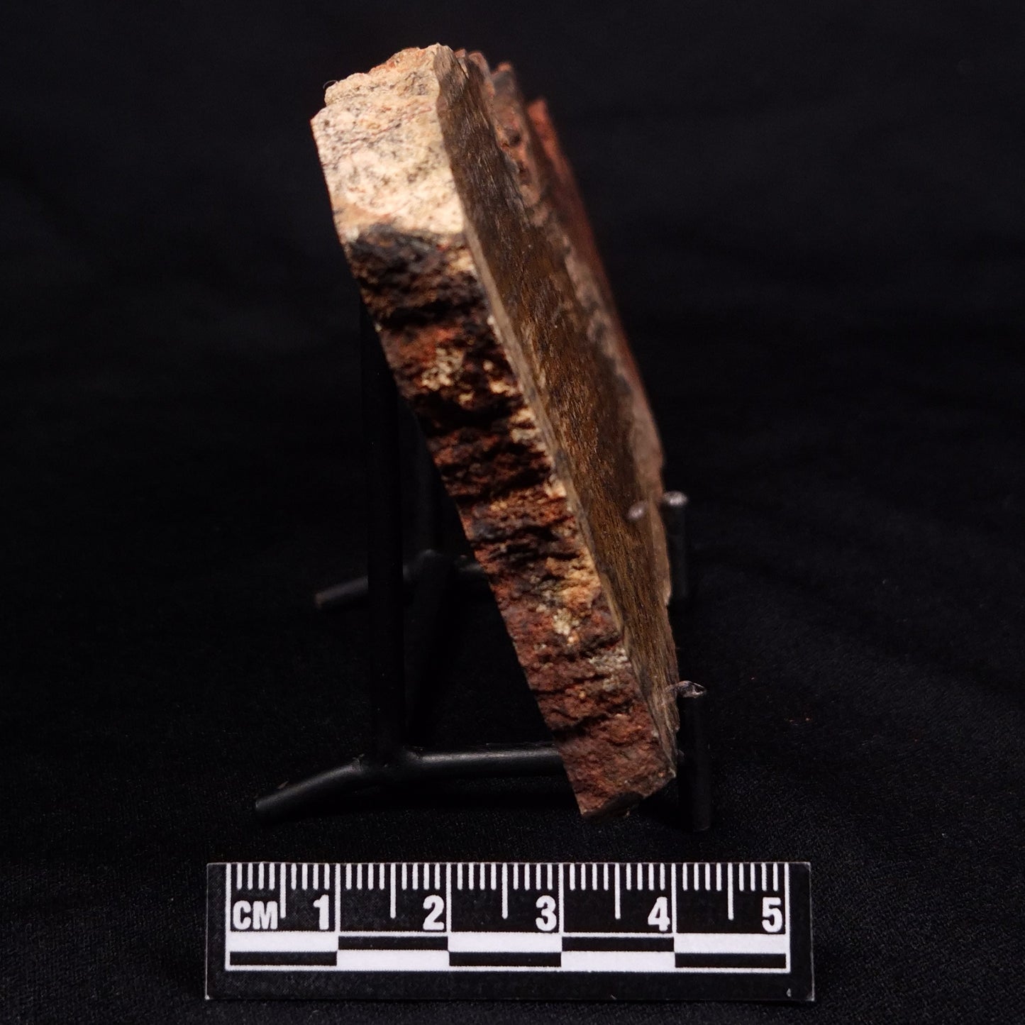 STROMATOLITE MICROBIAL MAT, Strelley Pool Formation, Archean, Australia ZSP026