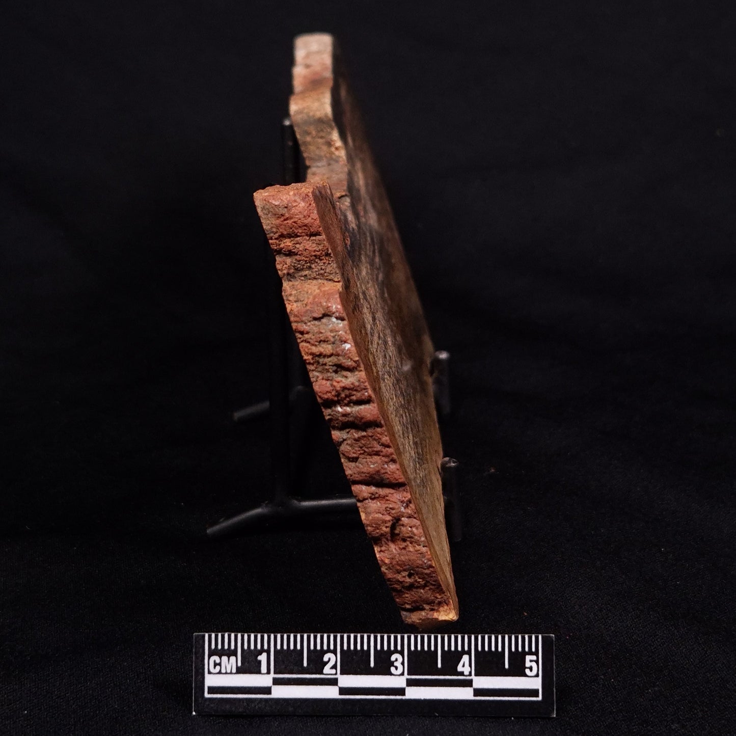 STROMATOLITE MICROBIAL MAT, Strelley Pool Formation, Archean, Australia ZSP027