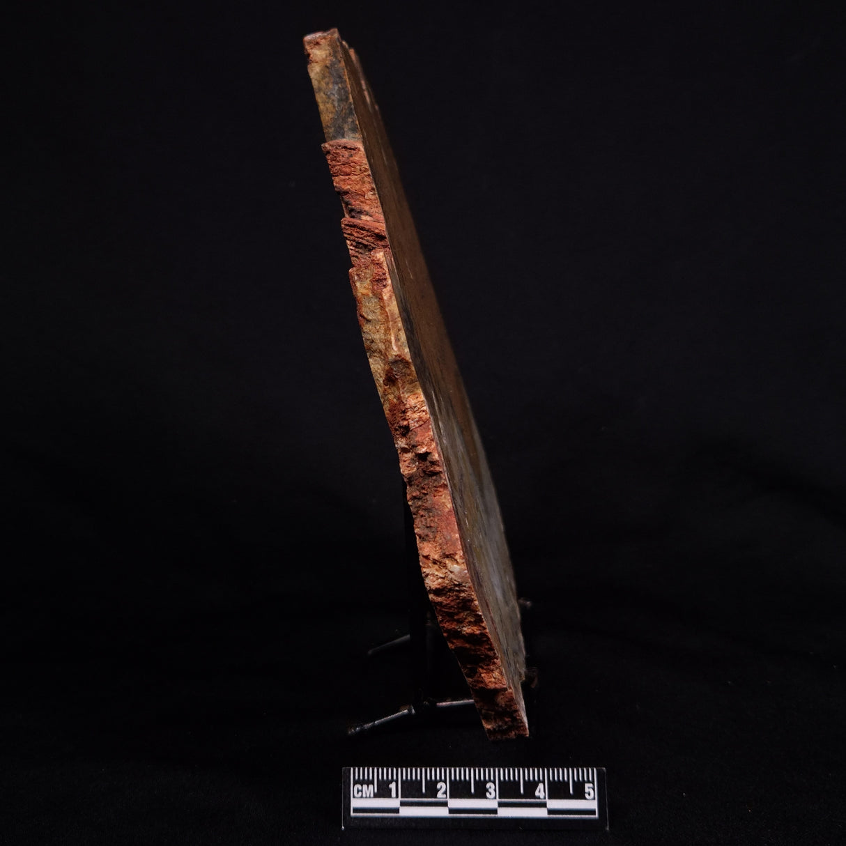 STROMATOLITE MICROBIAL MAT, Strelley Pool Formation, Archean, Australia ZSP029