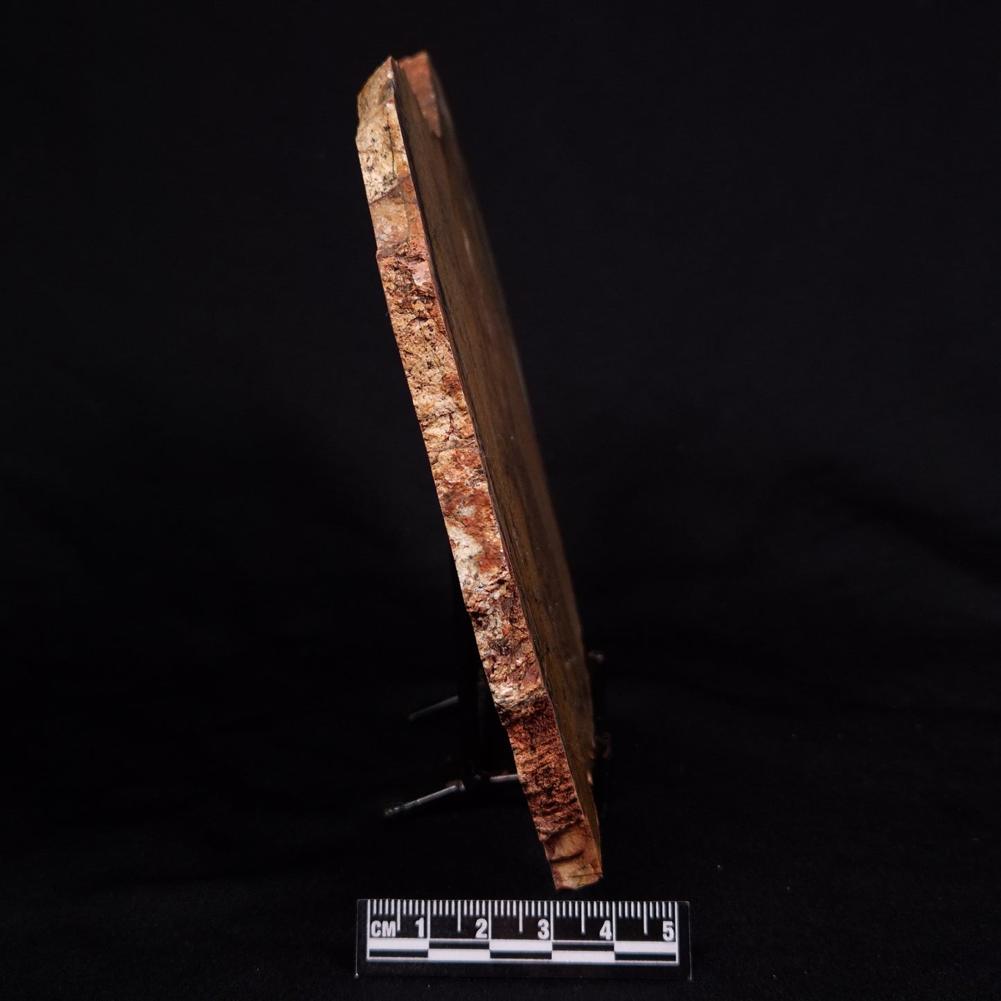 STROMATOLITE MICROBIAL MAT, Strelley Pool Formation, Archean, Australia ZSP030