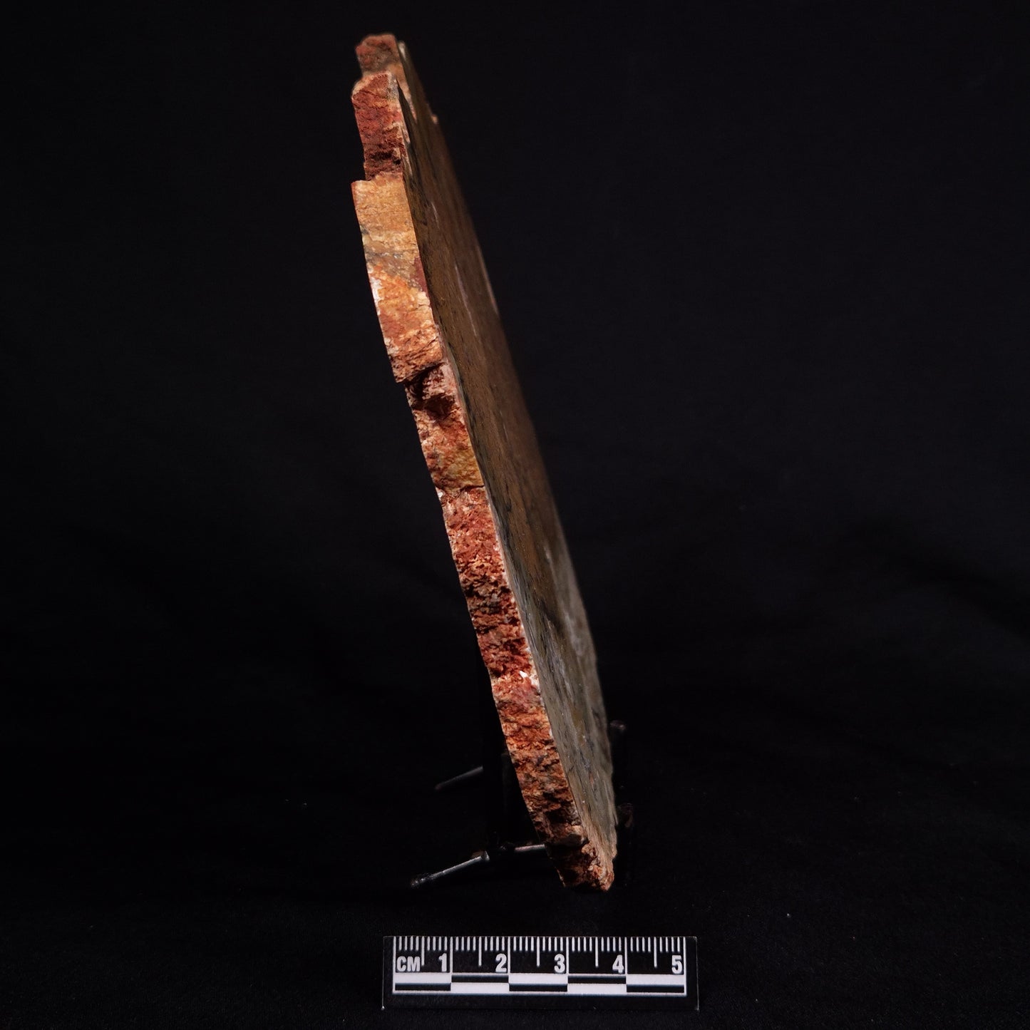 STROMATOLITE MICROBIAL MAT, Strelley Pool Formation, Archean, Australia ZSP032