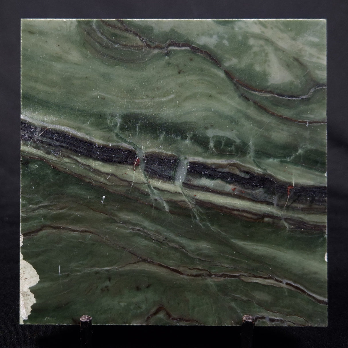 STROMATOLITE BAICALIA CAPRICORNIA, Mesoproterozoic, Australia ZBC002