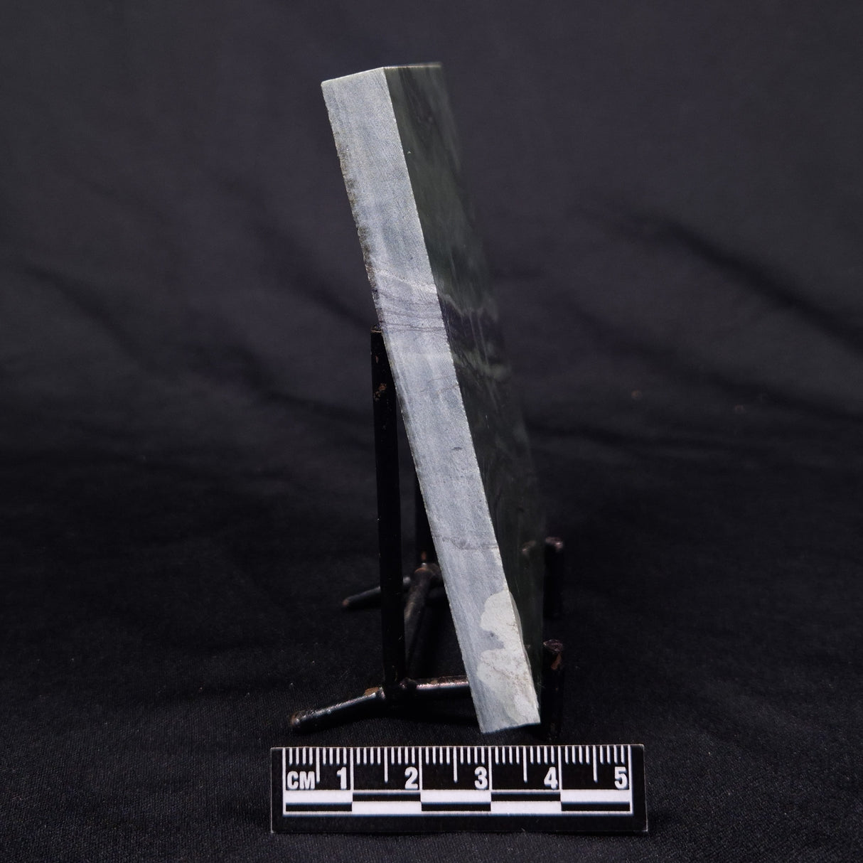 STROMATOLITE BAICALIA CAPRICORNIA, Mesoproterozoic, Australia ZBC002