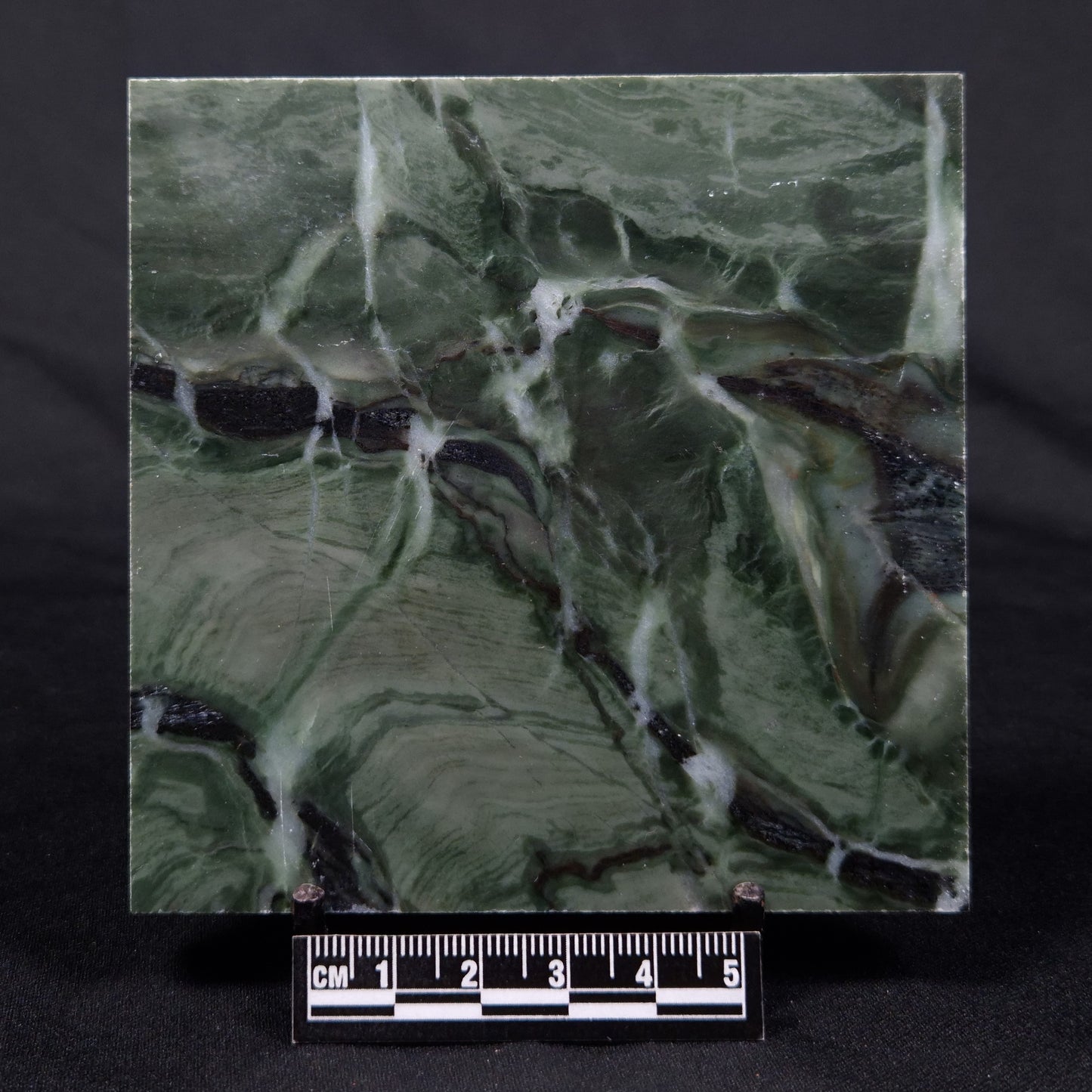 STROMATOLITE BAICALIA CAPRICORNIA, Mesoproterozoic, Australia ZBC004