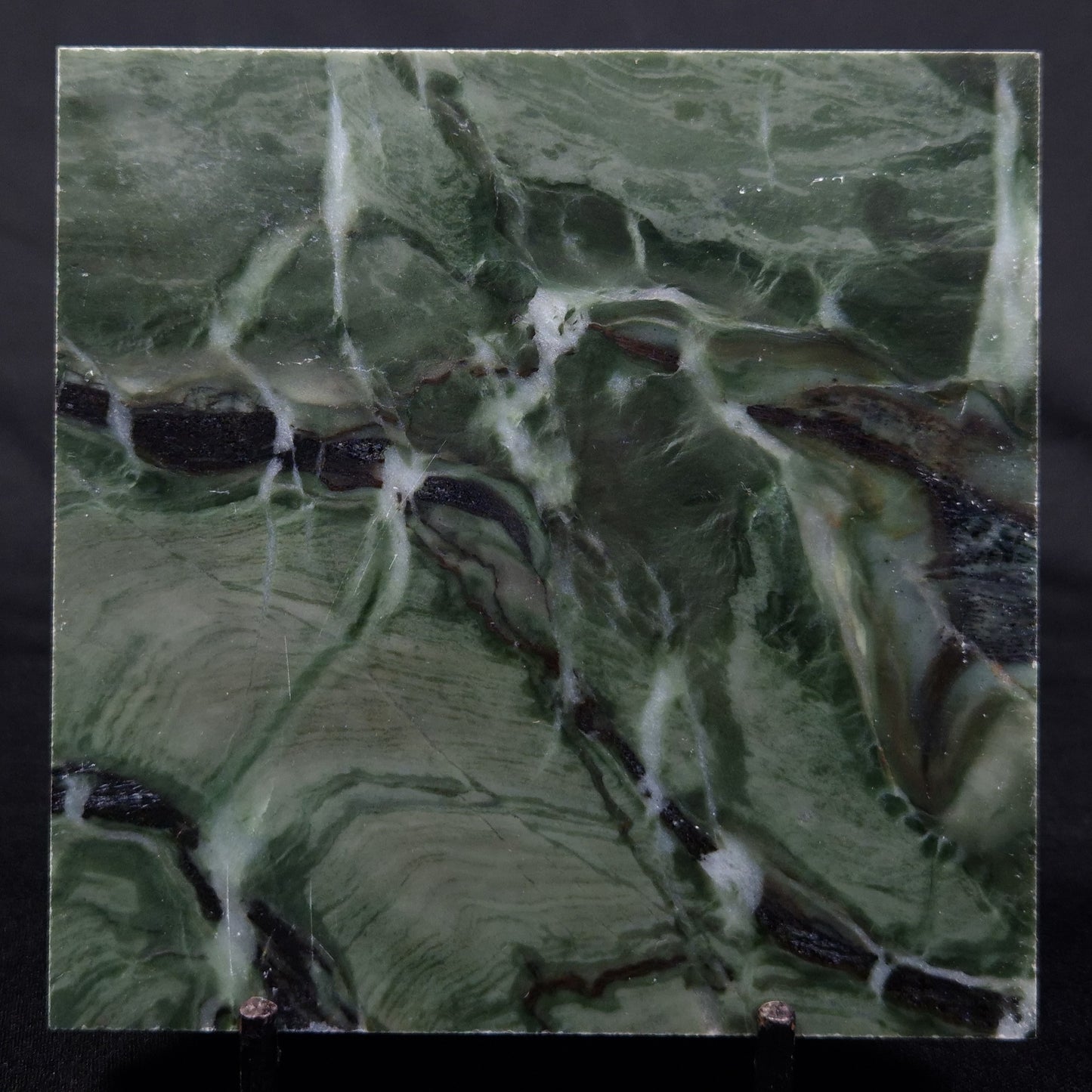 STROMATOLITE BAICALIA CAPRICORNIA, Mesoproterozoic, Australia ZBC004