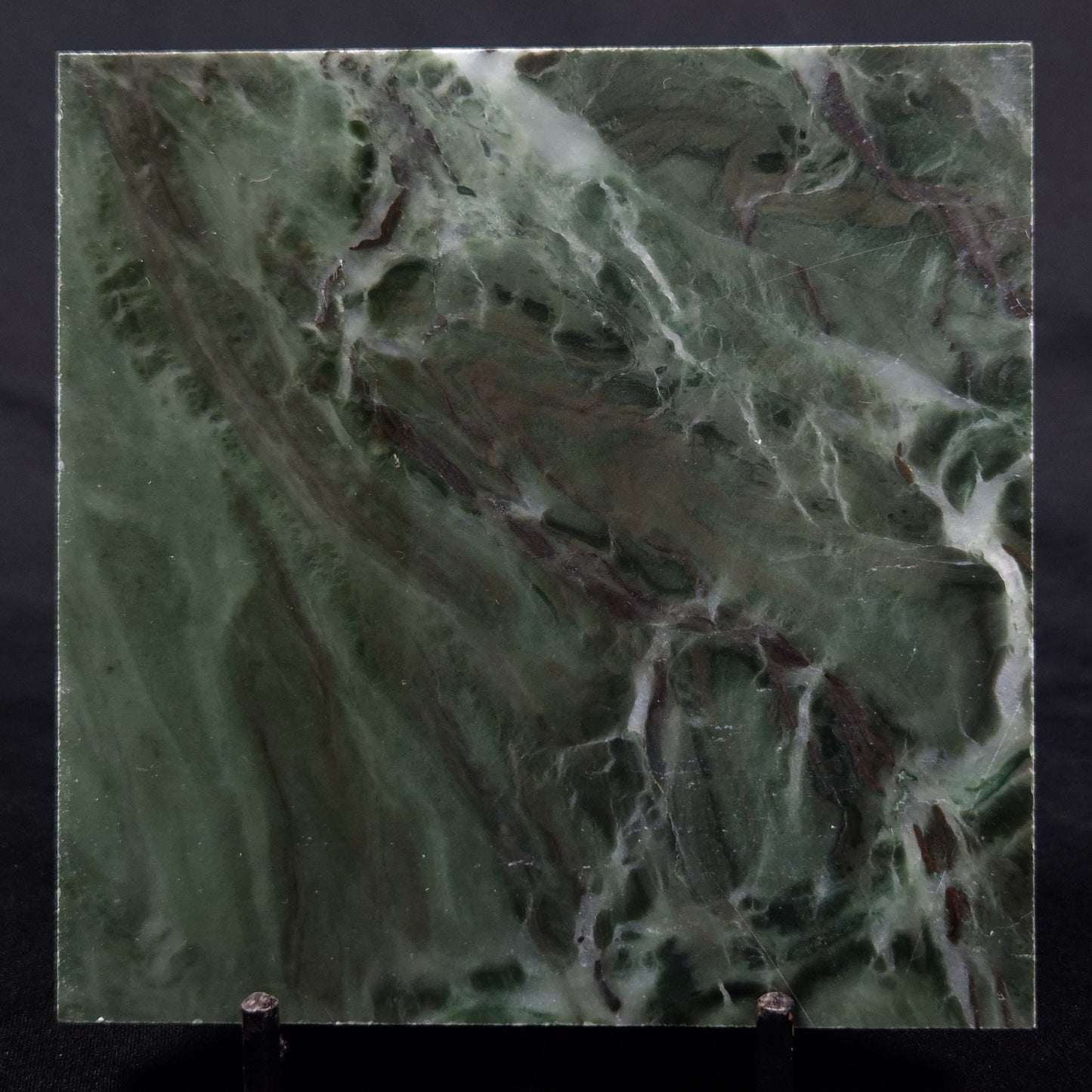 STROMATOLITE BAICALIA CAPRICORNIA, Mesoproterozoic, Australia ZBC005
