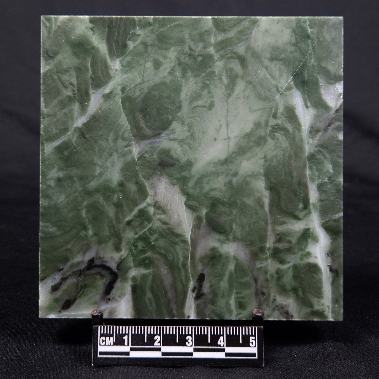 STROMATOLITE BAICALIA CAPRICORNIA, Mesoproterozoic, Australia ZBC006