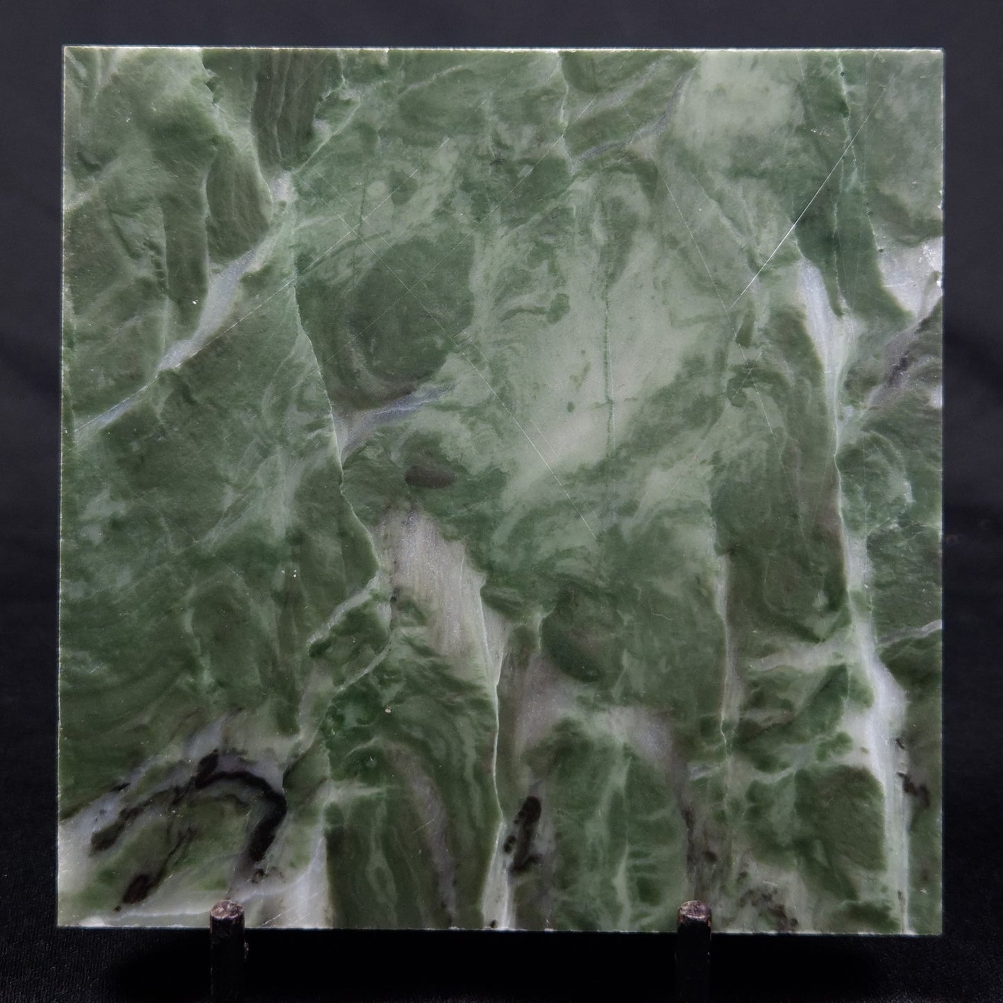 STROMATOLITE BAICALIA CAPRICORNIA, Mesoproterozoic, Australia ZBC006