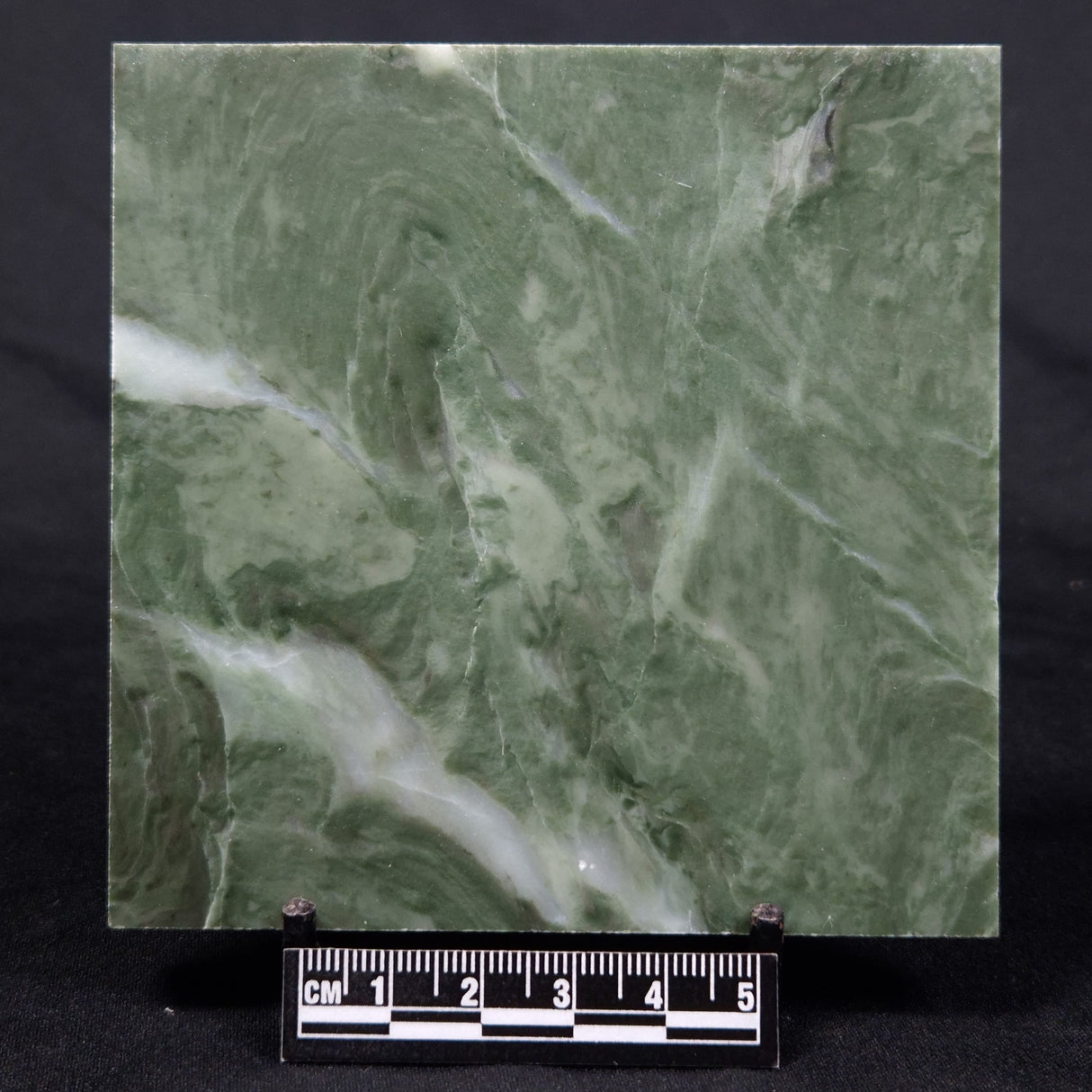 STROMATOLITE BAICALIA CAPRICORNIA, Mesoproterozoic, Australia ZBC008