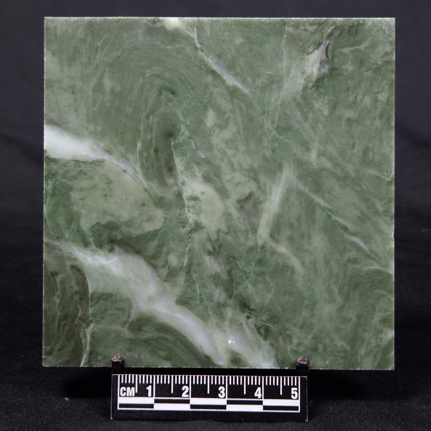 STROMATOLITE BAICALIA CAPRICORNIA, Mesoproterozoic, Australia ZBC008